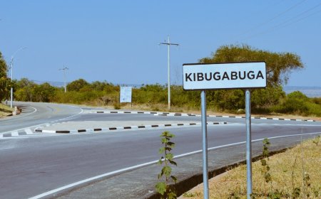 Abaturiye umuhanda wa Kibugabuga-Shinga-Gasoro barishimira ko watangiye guhindura imibereho yabo