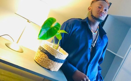 Alto munzira zo gutandukana n'inzu yamurebereraga muri muzika ye