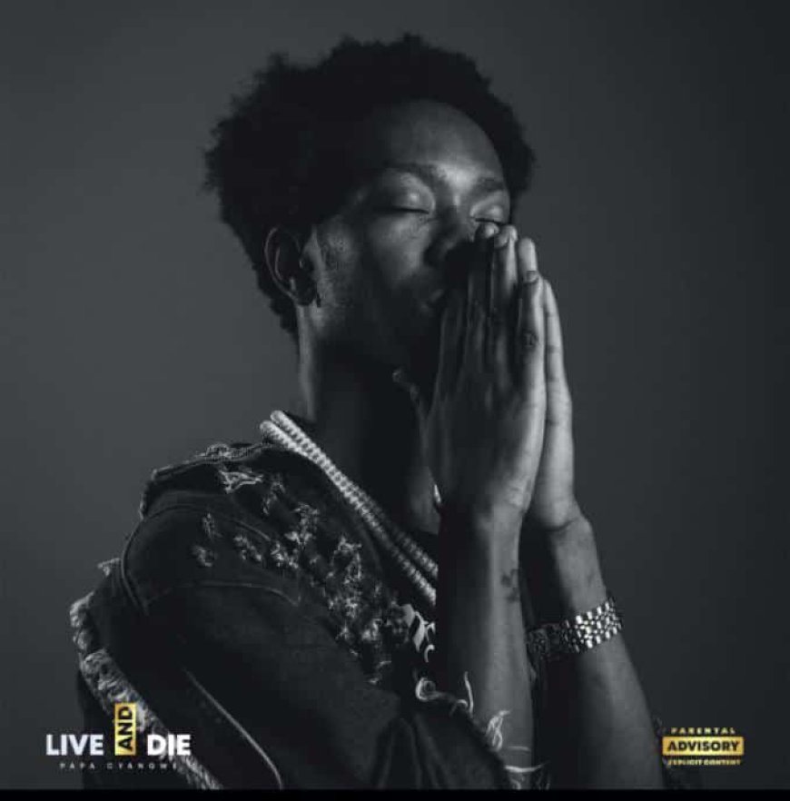 Nyuma ya Saza Africa, Papa Cyangwe yateguje indi Album