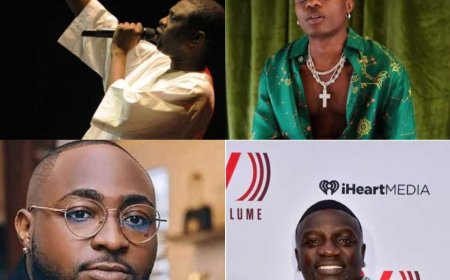 Urutonde rw’abahanzi batunze agatubutse kurusha abandi muri  Africa (2024)