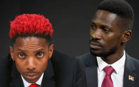 Ibyamamare byakoresheje ubwamamare bwabyo mu gusenya ituze ry’abaturage