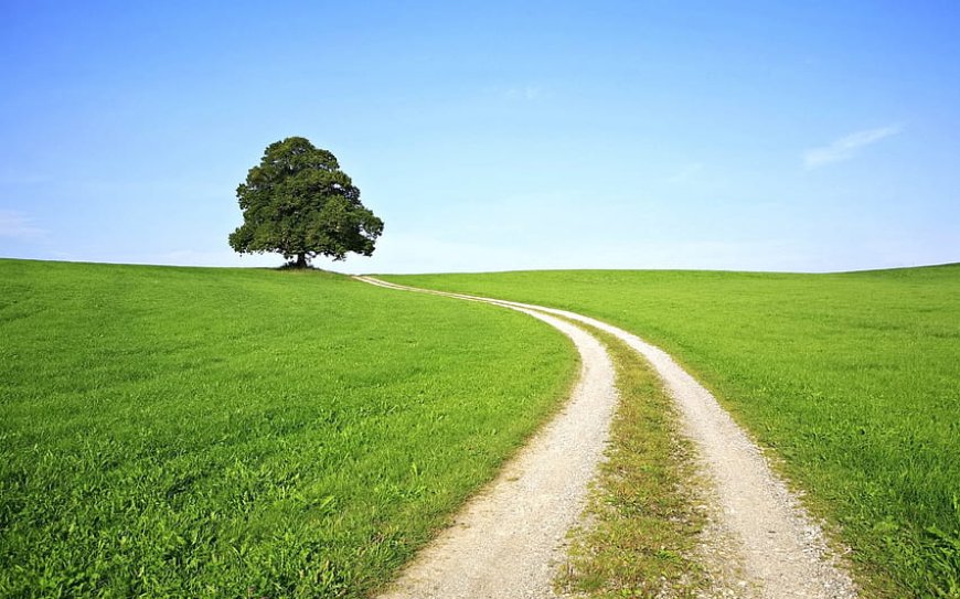 IBANGA RY’UBUZIMA: Ingingo z'ingenzi ugomba kuzirikana kandi ukareka zikakuyobora