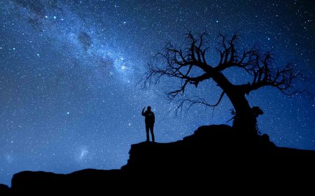 IBANGA RY'UBUZIMA: Dore icyo inyenyeri zikwiye kutwigisha mu buzima