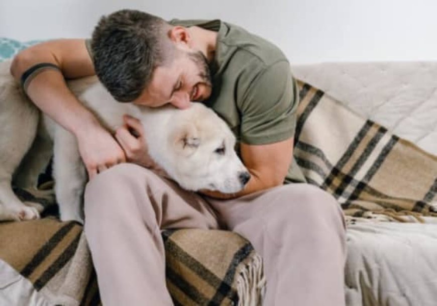 May cause respiratory disease: Find out what veterinarians say about touching animals