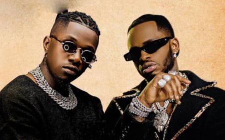 Uko abahanzi bo muri Tanzania, Rayvanny na Diamond Platnumz, basuzuguriwe muri Kenya