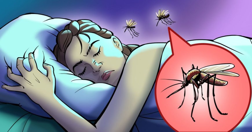 IBANGA RY’UBUZIMA: Dore isomo dukwiriye kwigira ku mubu