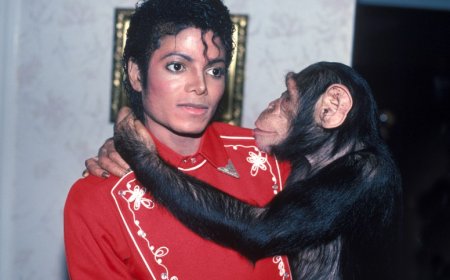 Icyo wamenya ku Gitera cyujuje imyaka 42 cyasizwe na Michael Jackson