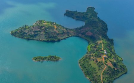 Madagascar irimo: Ibirwa 5 binini ku Isi