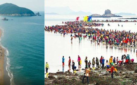 Ibyo wasobanukirwa ku bya 'Jindo' aho inyanja yicamo kabiri abantu bagatambuka