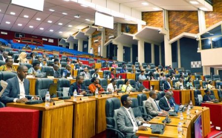 Inteko Ishinga Amategeko yahamagaje MINALOC na RDB