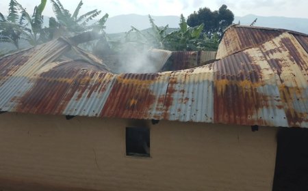 FARDC na Wazalendo nibo banzi b'amahoro mu burasirazuba bwa Congo - Raporo