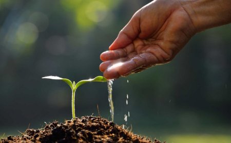 Don’t let pressure from those enjoying their harvest make you eat the seeds you should be planting