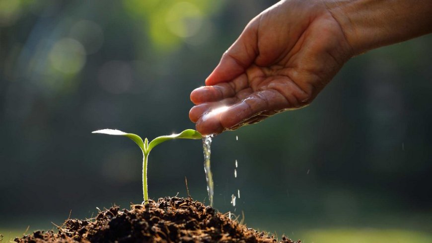 Don’t let pressure from those enjoying their harvest make you eat the seeds you should be planting