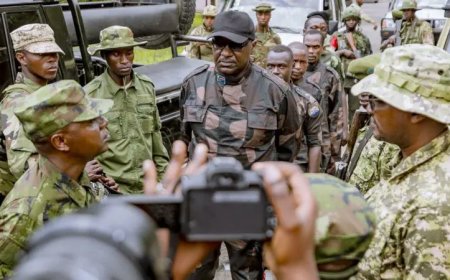 FDLR: Impamvu u Rwanda n'ibihugu byo mu Burengerazuba bw'Isi bitabona kimwe uyu mutwe witwaje intwaro