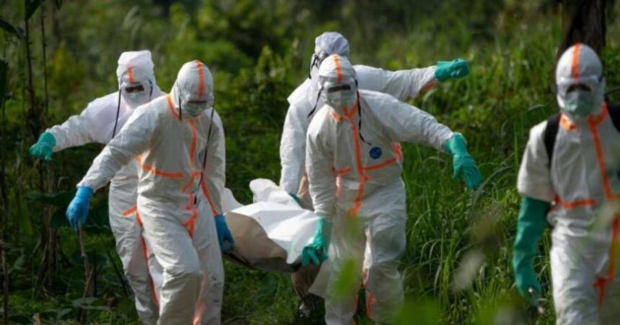 DRC: Abaganga bataye abarwayi barembejwe na Ebola